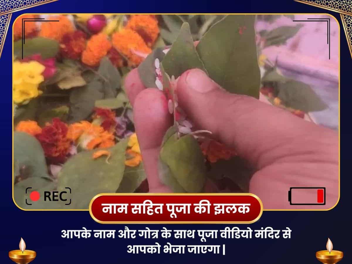 बाबा बैद्यनाथ ज्योतिर्लिंग तीर्थ क्षेत्र संजीवनी महापूजा puja gallery 2