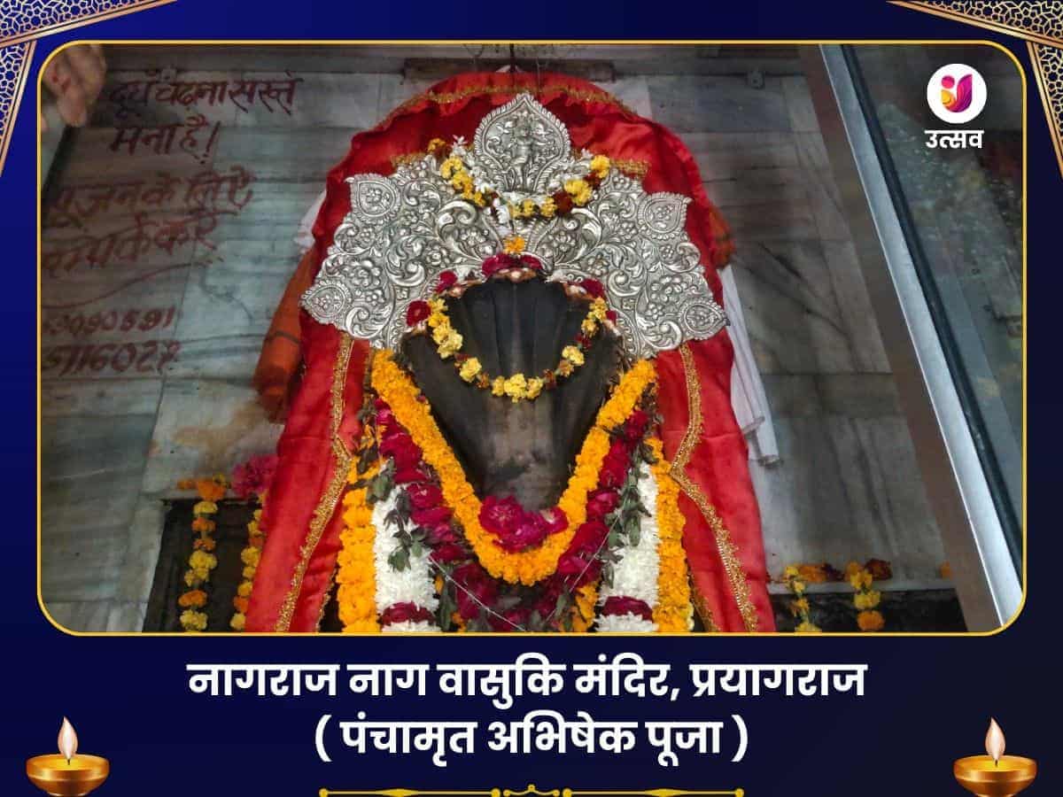 नाग पंचमी विशेष नागराज नाग वासुकी मंदिर प्रयागराज पंचामृत अभिषेक puja image 1