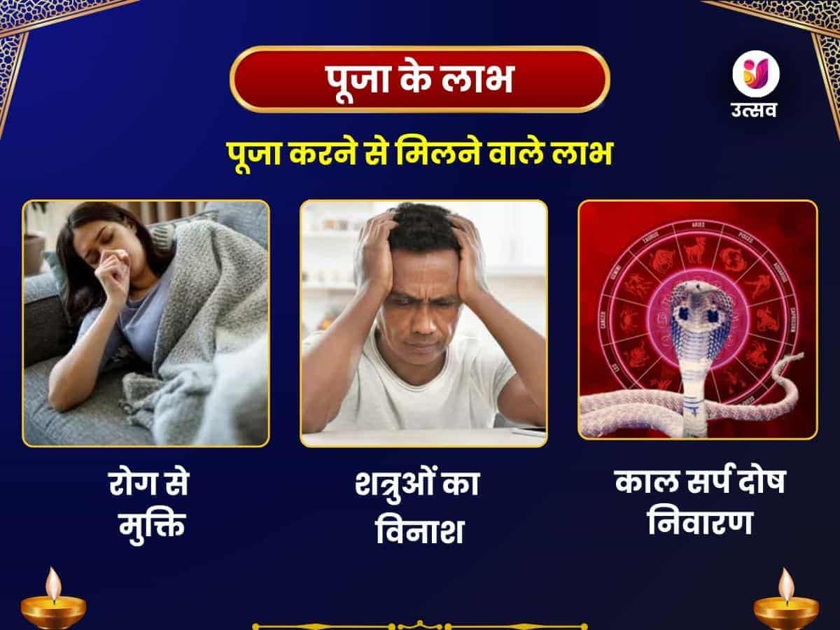 नाग पंचमी विशेष नागराज नाग वासुकी मंदिर प्रयागराज पंचामृत अभिषेक puja gallery 1