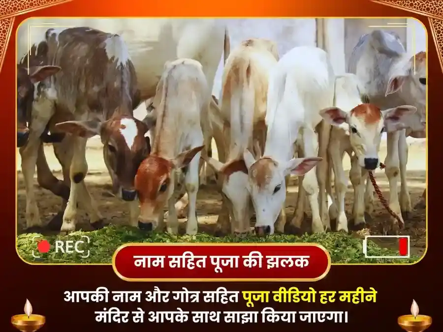 गुरुवर हरिद्वार गंगा घाट साप्ताहिक गौ सेवा एवं ब्राह्मण भोजन puja gallery 4