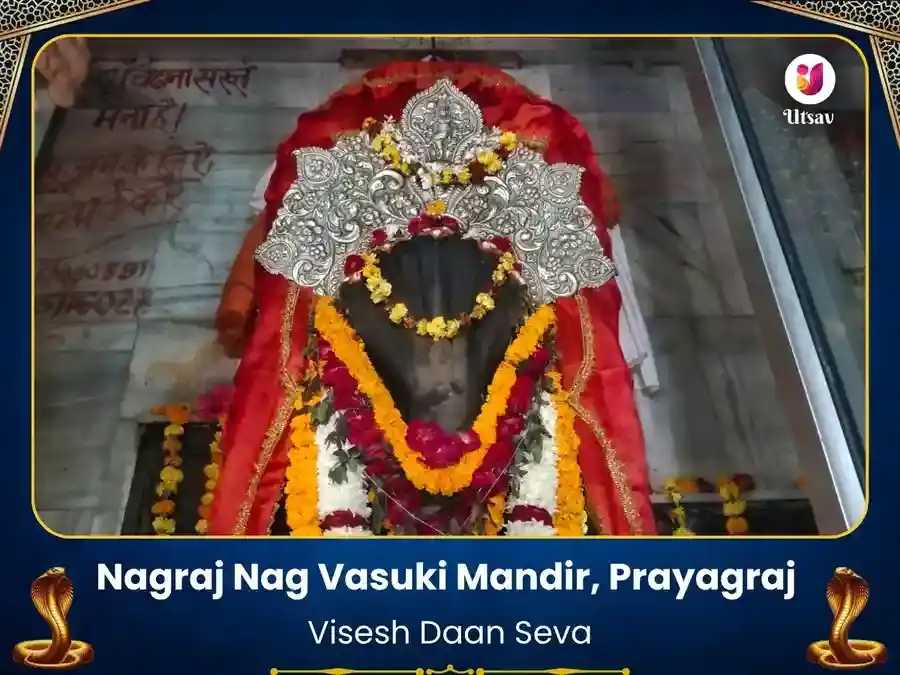 NagVasuki Mandir Prayagraj Visesh Daan Seva puja image 1