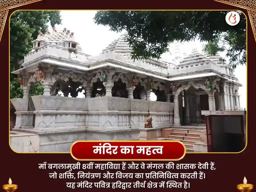 माँ बगलामुखी 51000 लाल मिर्ची हवन puja gallery 4