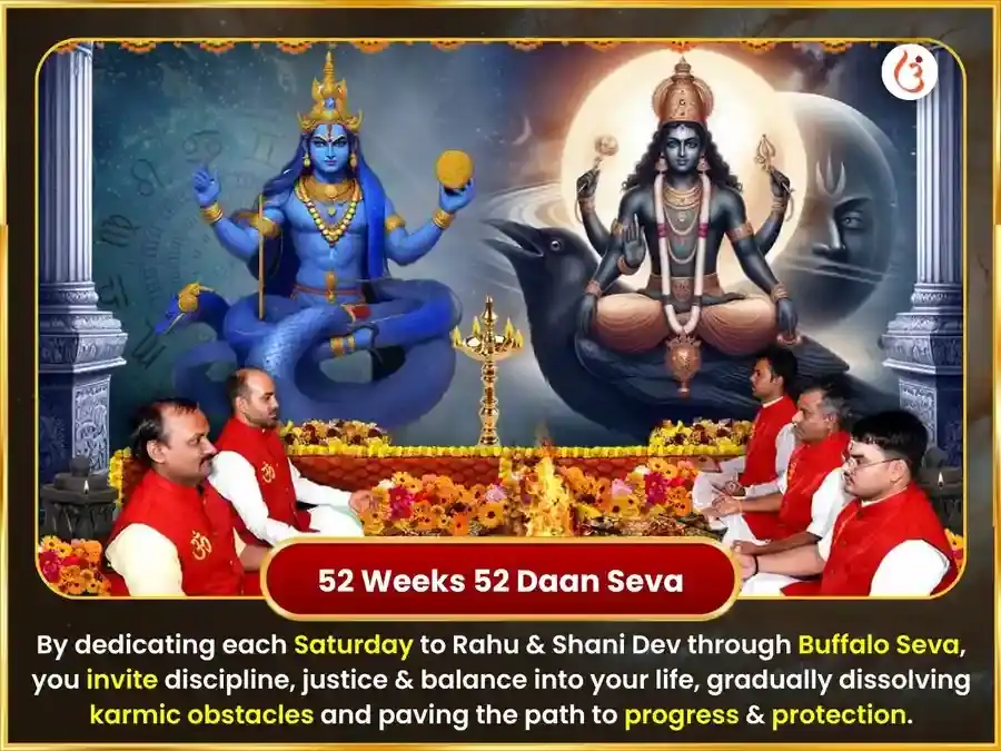 Shanivar Visesh Rahu Shani Graha Shanti Weekly Buffalo Seva puja gallery 2