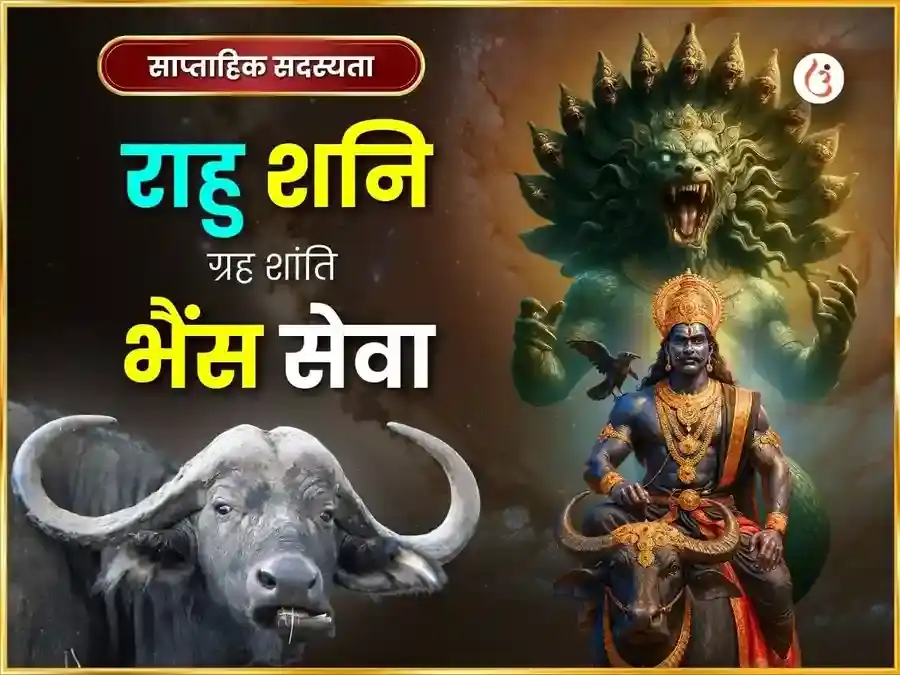 शनिवार विशेष राहु शनि ग्रह शांति साप्ताहिक महिष सेवा puja image 1