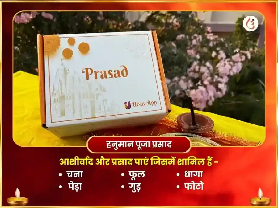 माँ बगलामुखी पंचमुखी हनुमान संयुक्त कुम कुम हल्दी तंत्रोक्त महा हवन puja gallery 4