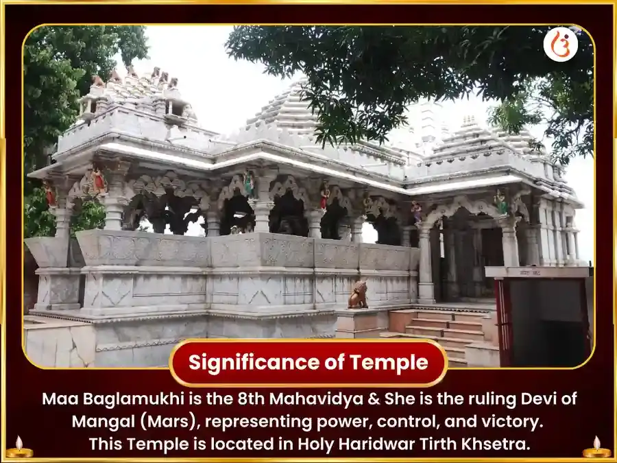 Surya-Maa Baglamukhi Vishesh Shatru Vinashak Nimbu Mirchi Mahatantra Havan puja gallery 4