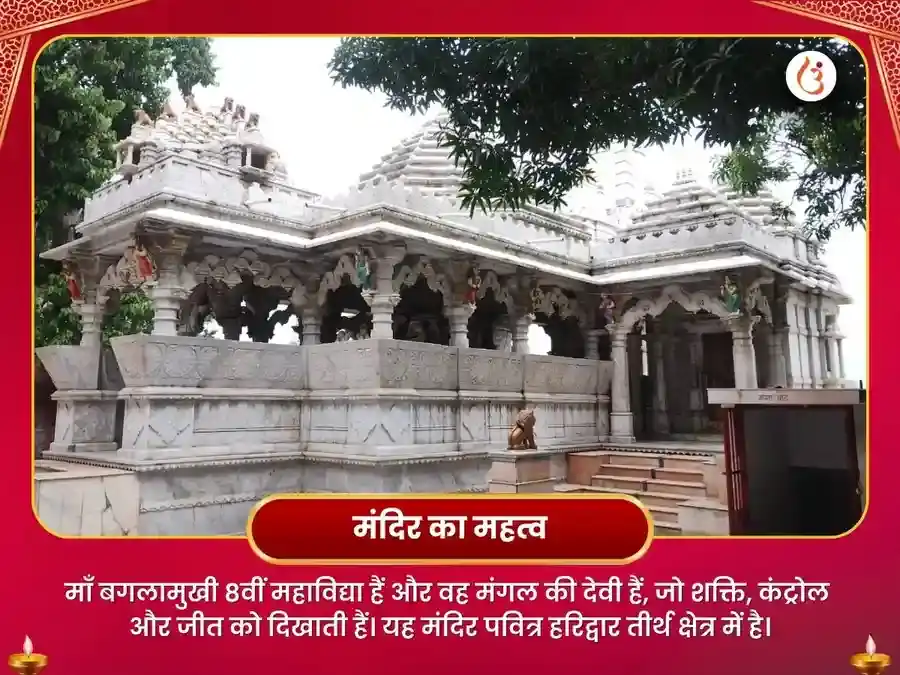 माँ बगलामुखी मोहिनी संयुक्त सर्व कार्य सिद्धि महा अनुष्ठान puja gallery 4