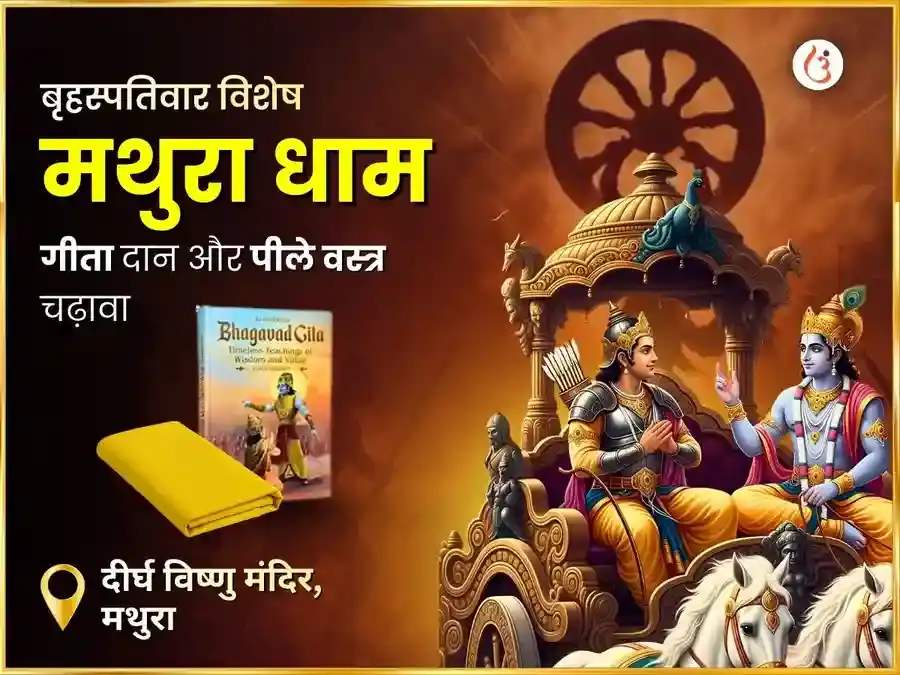 1008 विष्णु सर्व दोष निवारण मंत्र जाप पीला वस्त्र एवं केला दान puja image 1