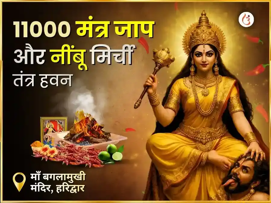 माँ बगलामुखी स्वर्ण समृद्धि हवन एवं 11000 मूल मंत्र जाप puja image 1