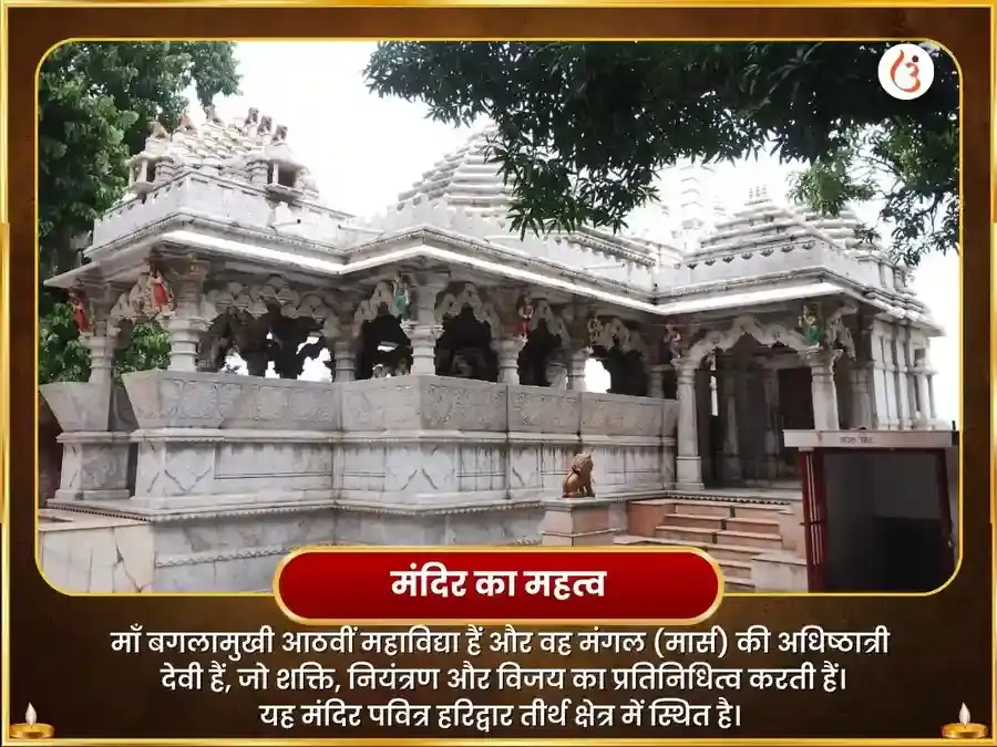 माँ बगलामुखी स्वर्ण समृद्धि हवन एवं 11000 मूल मंत्र जाप puja gallery 4