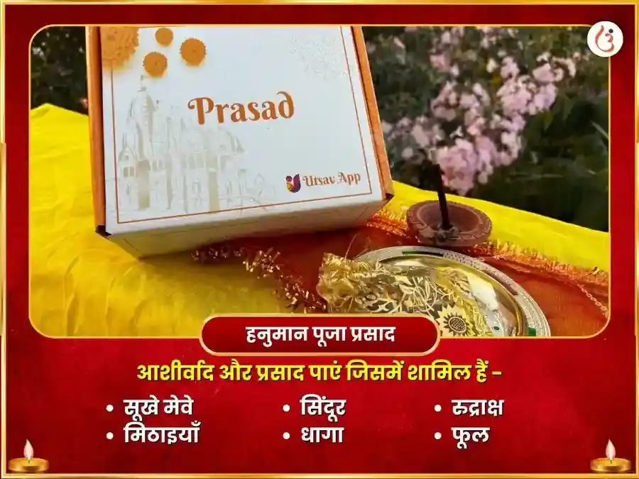 राहु शनि हनुमान ग्रह शांति सर्व बाधा मुक्ति अनुष्ठान puja gallery 5