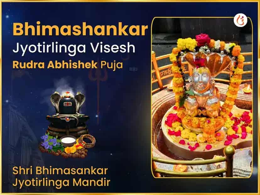 Millionaire Rajyog Visesh Bhimashankar Jyotirlinga Rudra Abhishek Maha Puja puja image 1