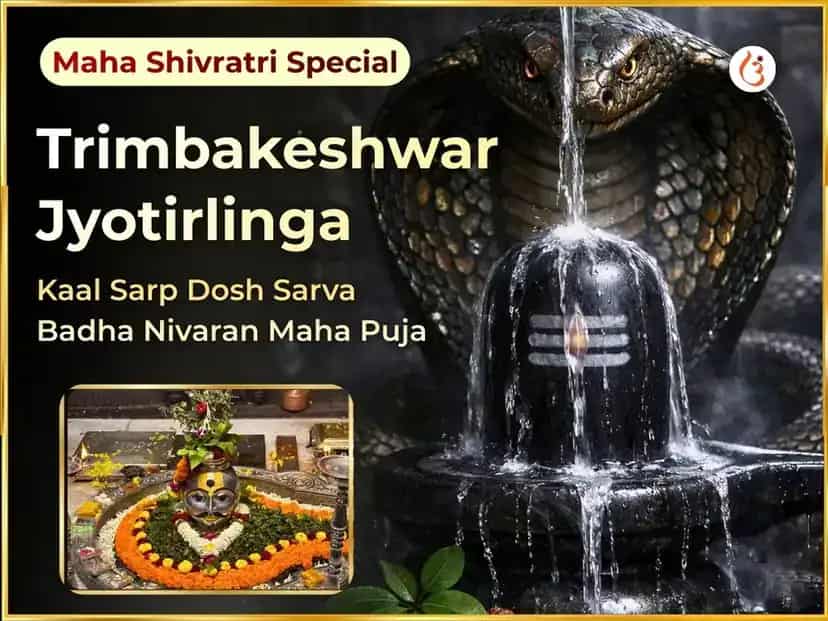 Maha Shivratri Trimbakeshwar Jyotirlinga Kaal Sarp Dosh Sarva Badha Nivaran Maha Puja puja image 1
