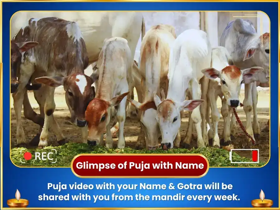 అక్షయ తృతీయ విశేష త్రి పశు గుప్త దాన్ సేవ puja gallery 2