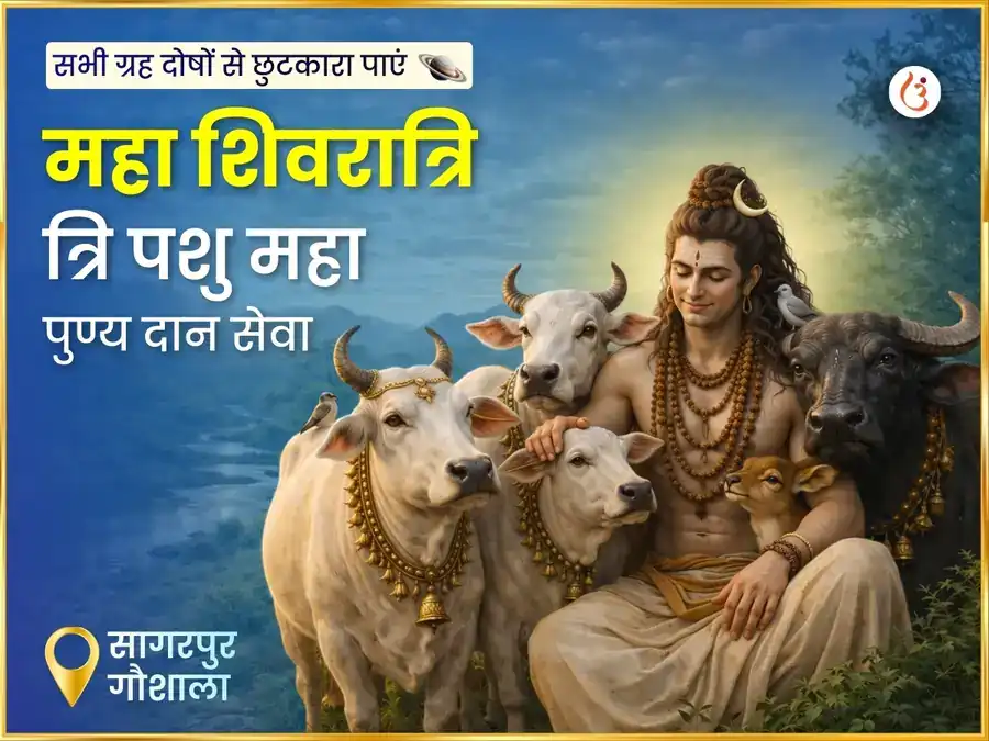 अक्षय तृतीया विशेष त्रि पशु गुप्त दान सेवा puja image 1