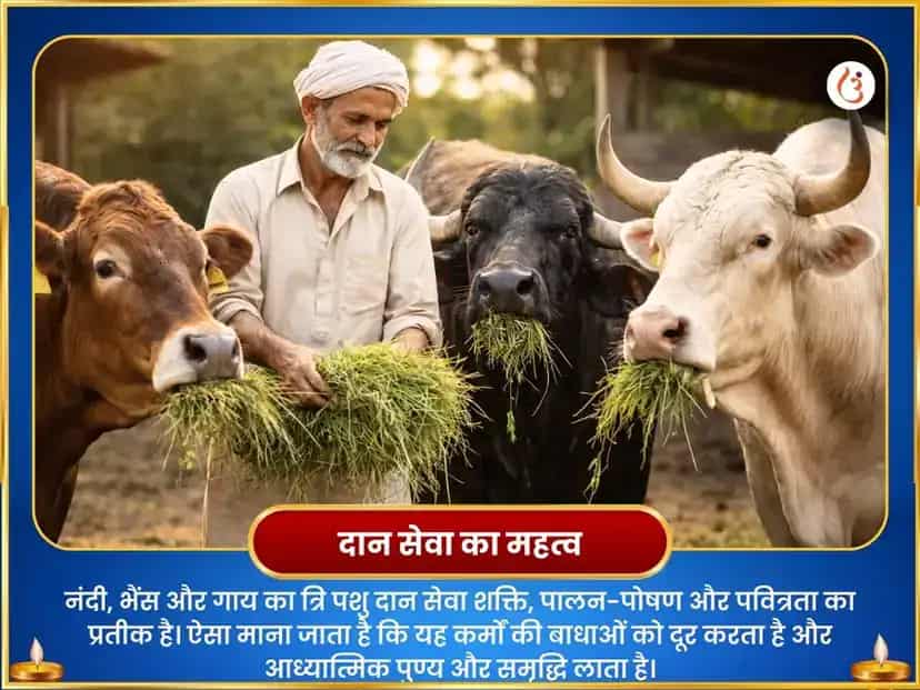 महा शिवरात्रि विशेष त्रि पशु महा पुण्य दान सेवा puja gallery 3