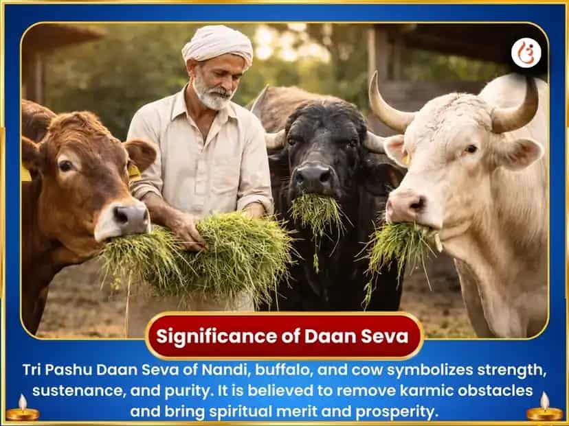 Papmochani Ekadashi Special Tri Pashu Maha Punya Daan Seva puja gallery 3