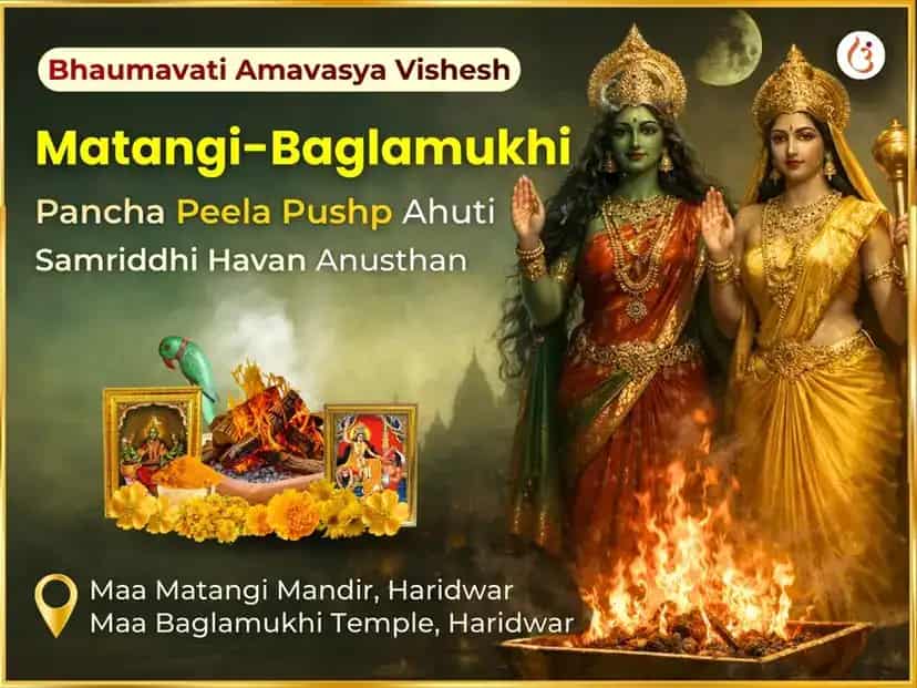 पंच पील पुष्प आहुति सहित मातंगी-बगलामुखी विजय समृद्धी महा हवन अनुष्ठान puja image 1