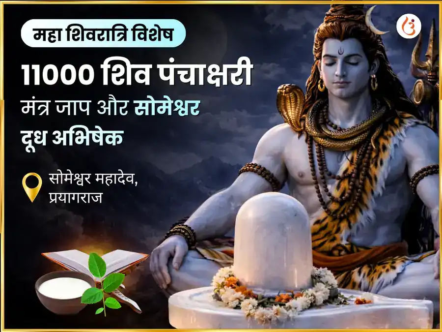 महा शिवरात्रि विशेष 11000 शिव पंचाक्षरी मंत्र जाप एवं दूध अभिषेक एवं चंडी बेलपत्र अर्पण puja image 1