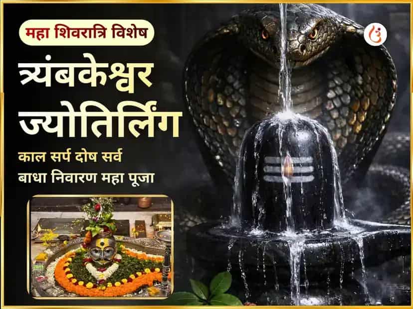 महा शिवरात्रि त्र्यंबकेश्वर ज्योतिर्लिंग काल सर्प दोष सर्व बाधा निवारण महा पूजा puja image 1