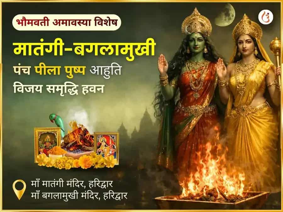 पंच पील पुष्प आहुति सहित मातंगी-बगलामुखी विजय समृद्धि महा हवन अनुष्ठान puja image 1