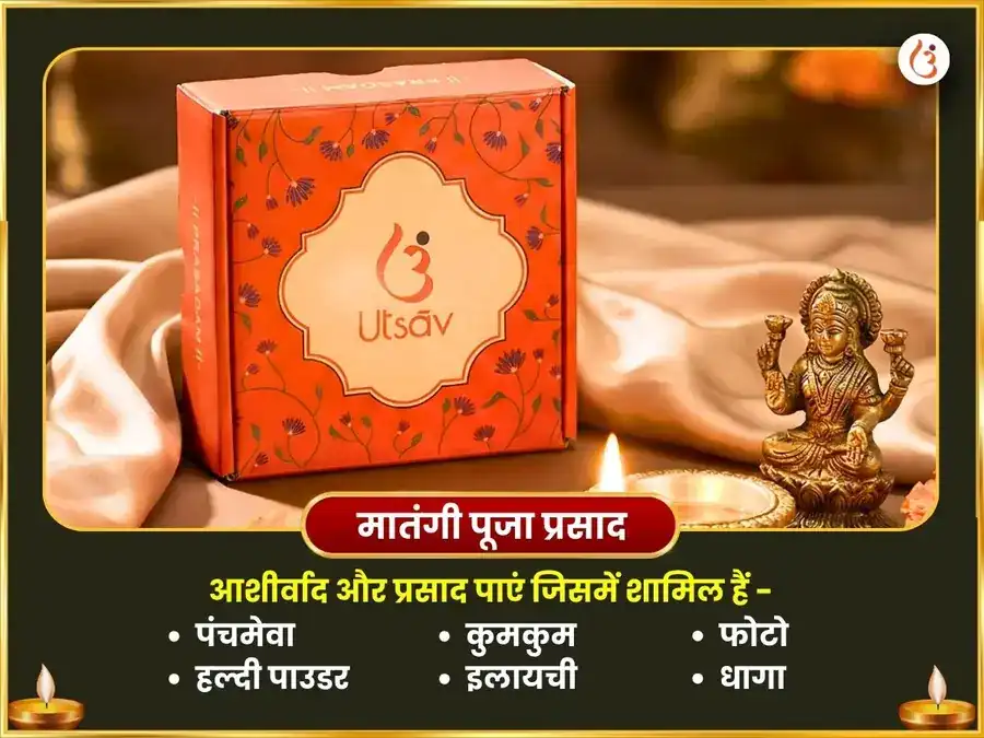 भौमवती अमावस्या विशेष पंच पीला पुष्प आहुति सहित मातंगी-बगलामुखी विजय समृद्धि महा हवन अनुष्ठान puja gallery 5