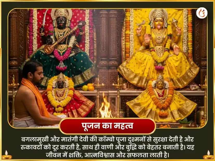 पंच पील पुष्प आहुति सहित मातंगी-बगलामुखी विजय समृद्धि महा हवन अनुष्ठान puja gallery 6