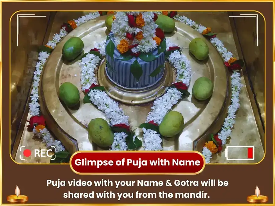 Surya Trikon Guru Vishesh 11000 Brihaspateeshwar Mool Mantra Jaap & Gaja Murti Chadawa  puja gallery 2