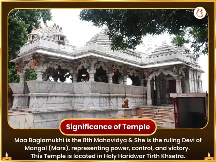 बगलामुखी जयंती विशेष मोहिनी-बगलामुखी संयुक्त मिठा भोग आणि राजमोहिनी हवन puja gallery 4