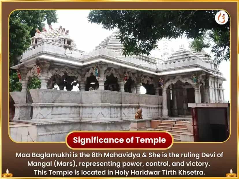 Maa Baglamukhi Sarva Shatru Badha Nivaran Peela Papita Arpan puja gallery 4