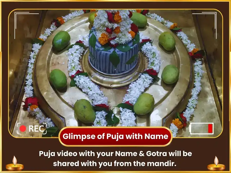 3:3 Golden Jupiter Portal 11000 Guru Mool Mantra Jaap & Gaja Murti Chadawa  puja gallery 2