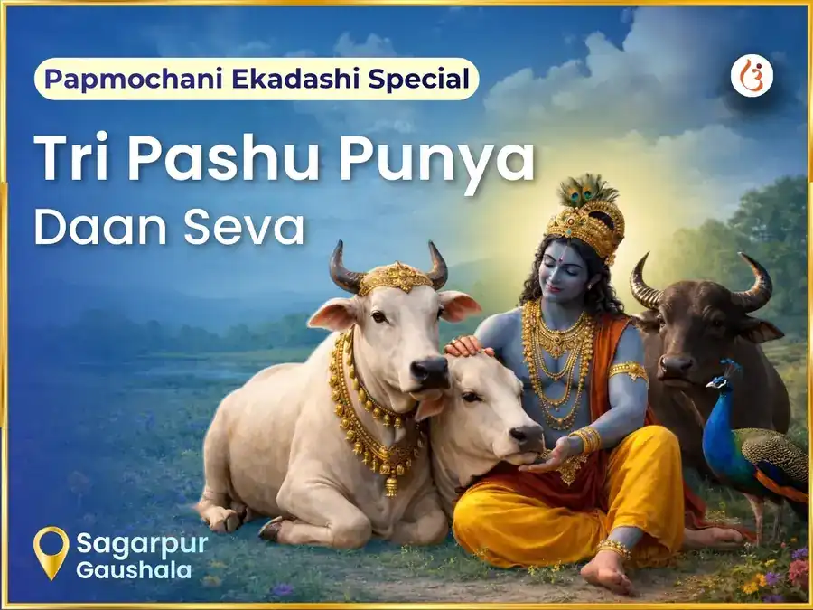 అక్షయ తృతీయ విశేష త్రి పశు గుప్త దాన్ సేవ puja image 1