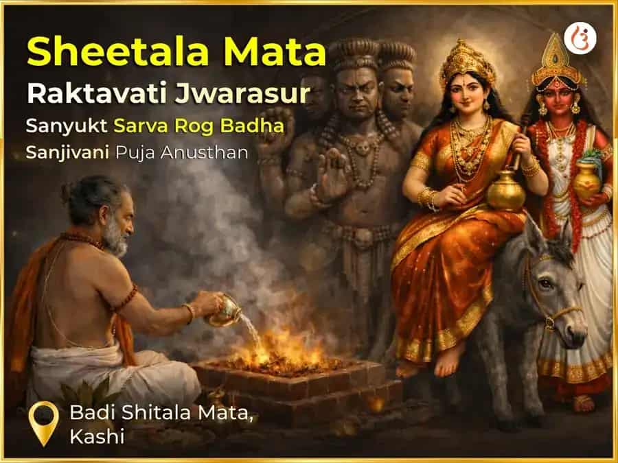 Sheetala Mata Raktavati Jwarasur Sanyukt Sarva Rog Badha Sanjivani Puja & Sheetal Jal Havan puja image 1