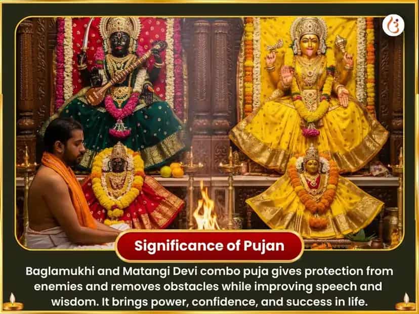 Bhaumavati Amavasya Vishesh Pancha Peela Pushp Ahuti sahit Matangi-Baglamukhi Vijay Samriddhi Maha Havan Anusthan puja gallery 5