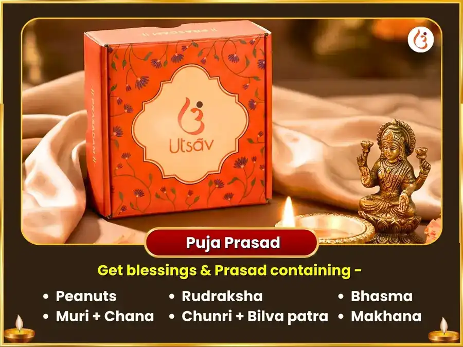 Sarvartha Siddhi Yog Prayagraj Nag Vasuki Ketu Shanti Maha Puja puja gallery 3