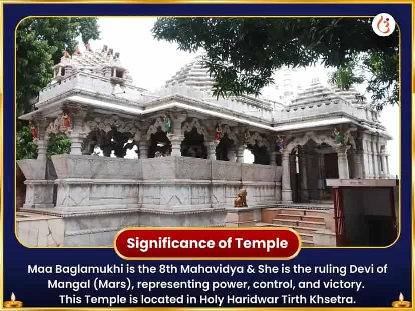 பக்ளாமுகி ஹரித்ரா கணபதி ஹனுமான் கேசரி விஜய் கவச் ஹவன் அனுஷ்டான் puja gallery 4