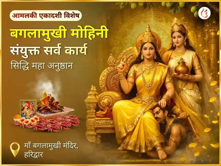 माँ बगलामुखी मोहिनी संयुक्त सर्व कार्य सिद्धि महा अनुष्ठान puja image 1