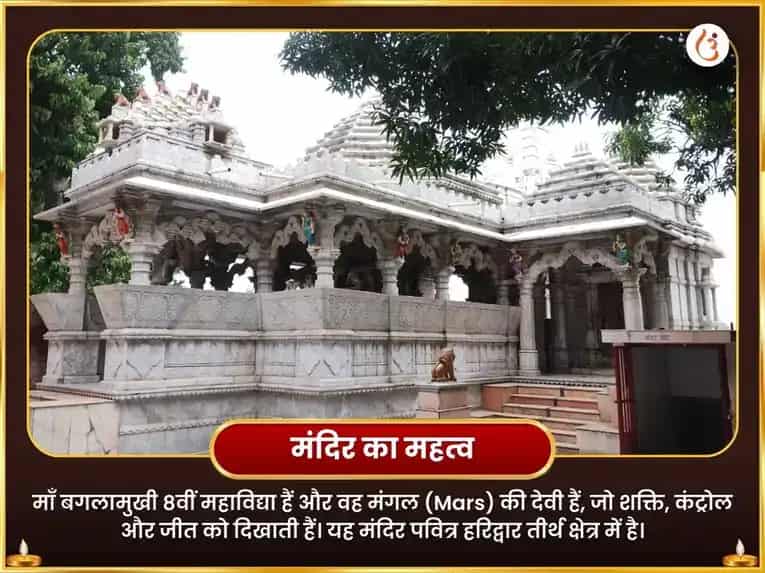 बगलामुखी जयंती विशेष मोहिनी-बगलामुखी संयुक्त मीठा भोग और राजमोहिनी हवन puja gallery 4