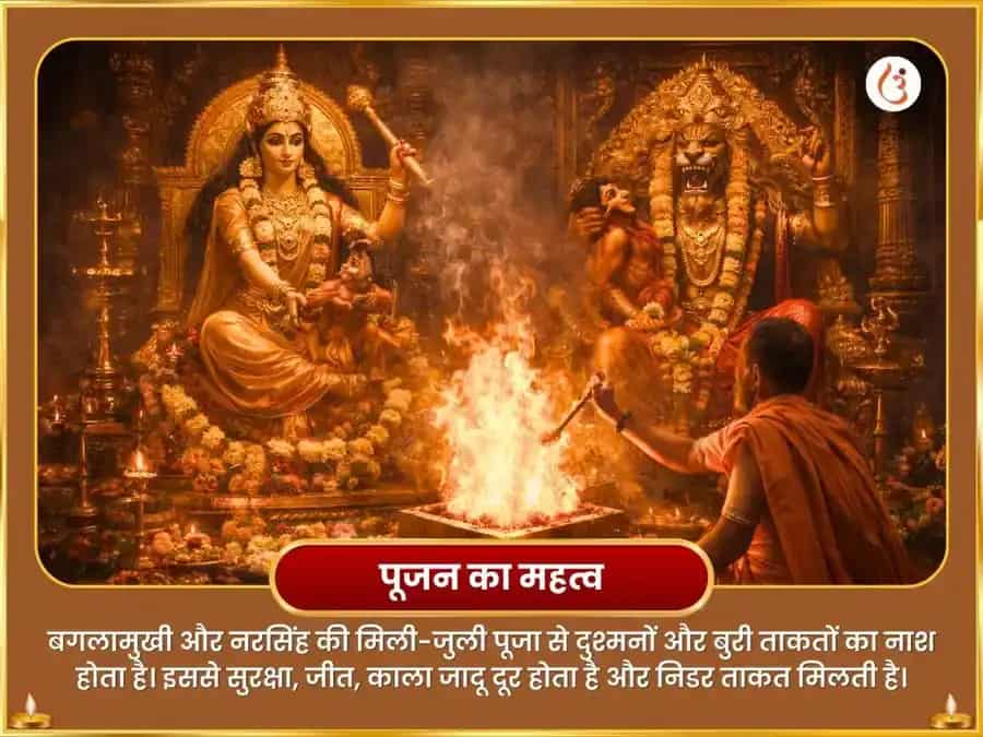 होलिका दहन विशेष नृसिंह बगलामुखी संयुक्त गोघृत रक्त मरीचिका जम्भिरा महा उग्र हवन अनुसुथन puja gallery 6