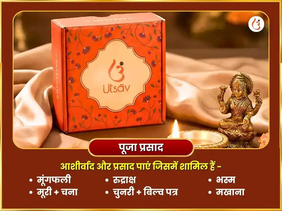 लक्ष्मी जयंती विशेष कनकधारा स्तोत्रम् पथ सहित लक्ष्मी अभिषेक एवं श्री यंत्र पूजा puja gallery 3