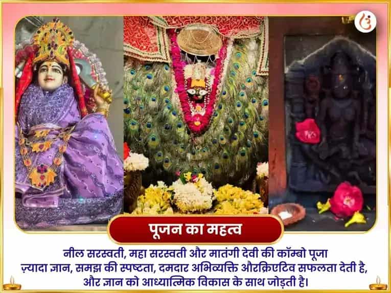 दुर्गा अष्टमी विशेष नील सरस्वती मातंगी संयुक्त महासरस्वती विशेष दान सेवा puja gallery 6