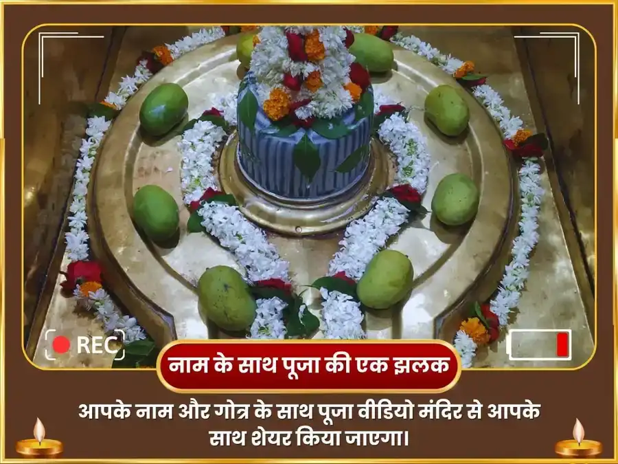 सूर्य त्रिकोण गुरु विशेष 11000 बृहस्पतीश्वर मूल मंत्र जाप और गज मूर्ति चढ़ावा puja gallery 2