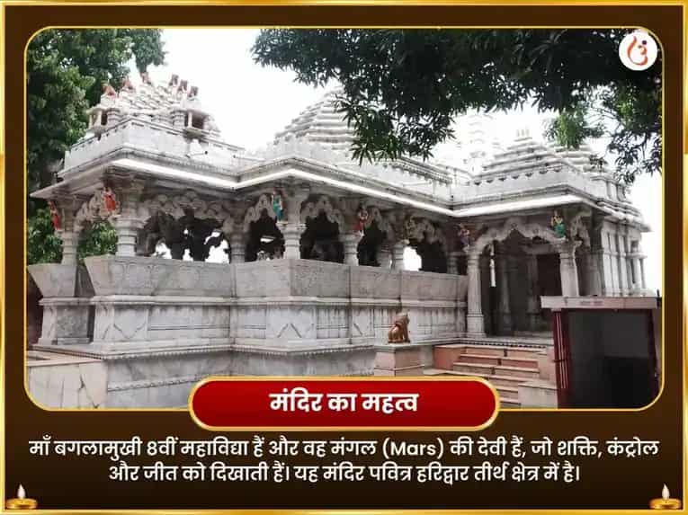 माँ बगलामुखी 11000 मूल मंत्र जाप एवं पीपल पत्र हवन puja gallery 4