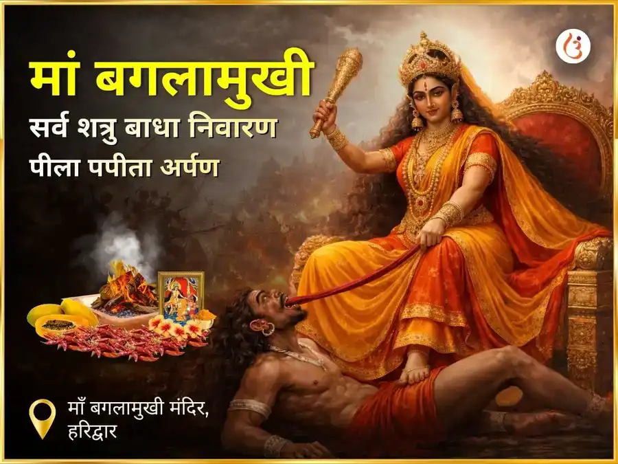 मां बगलामुखी सर्व शत्रु बाधा निवारण पीला पापिता अर्पण puja image 1
