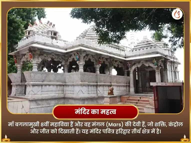 मां बगलामुखी सर्व शत्रु बाधा निवारण पीला पापिता अर्पण puja gallery 4