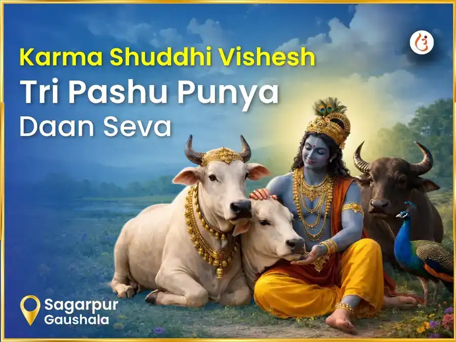 Sagarpur Gaushala Karma Shudhi Visesh Tri Pashu Punya Daan Seva puja image 1