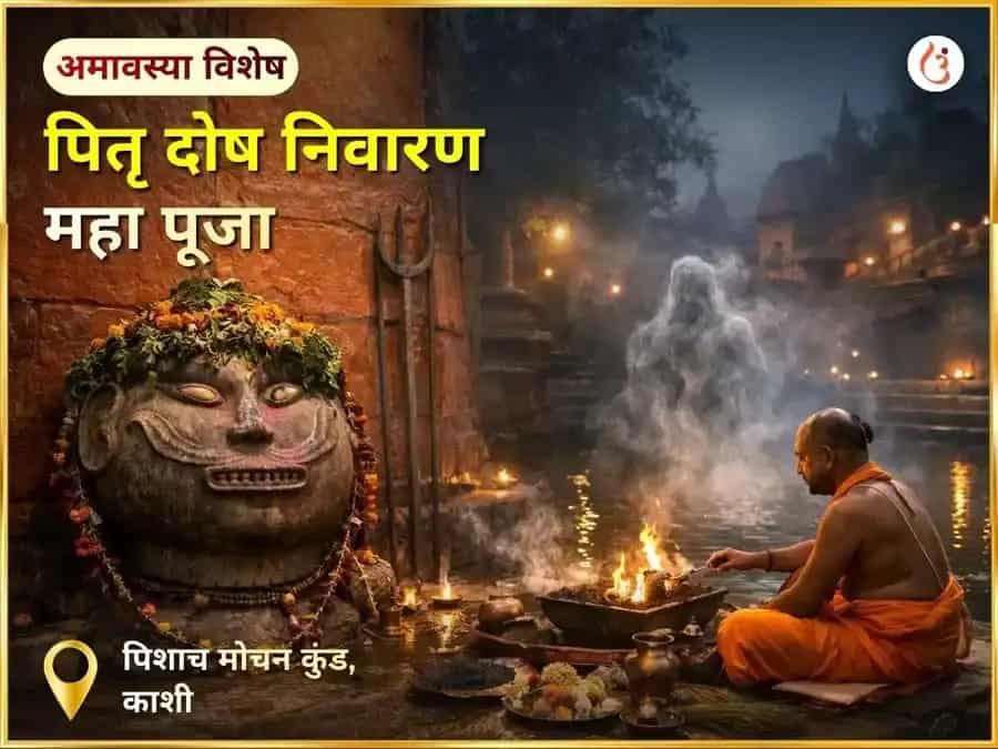 दर्श अमावस्या विशेष पितृ दोष निवारण पूजा puja image 1