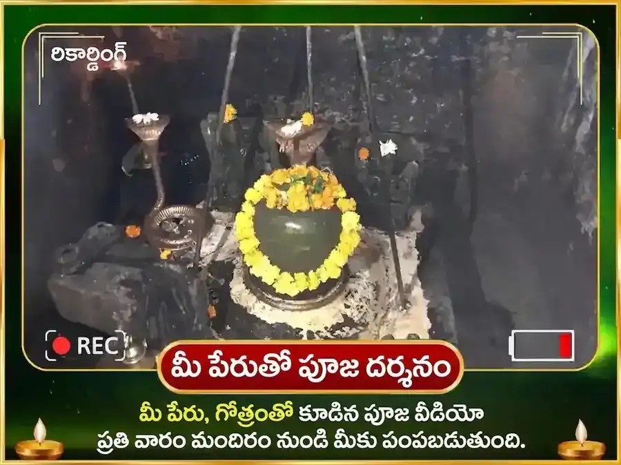 శనివార విశేష వారపు రాహు పైఠాణి తిల మరియు అపరాజిత పుష్ప దానం puja gallery 3