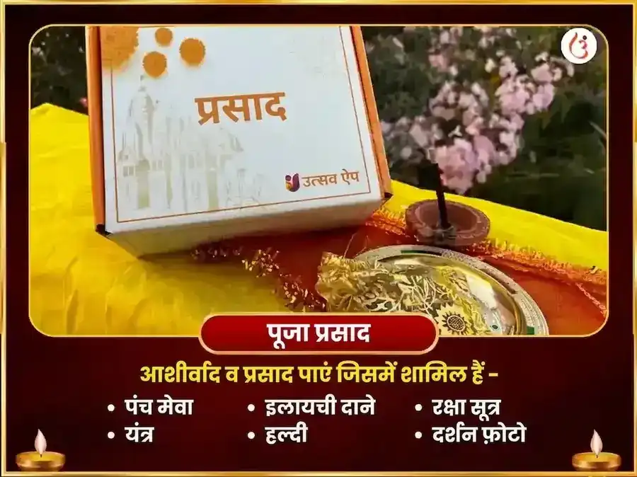 सूर्य-माँ बगलामुखी विशेष शत्रु विनाशक नींबू मिर्ची महातंत्र हवन puja gallery 3