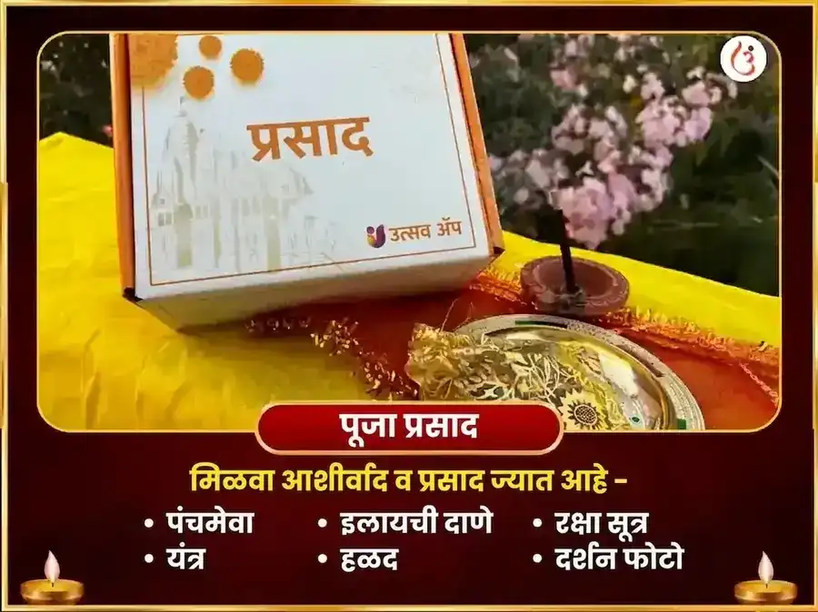 सूर्य-माँ बगलामुखी विशेष शत्रु विनाशक लिंबू मिरची महातंत्र हवन puja gallery 3